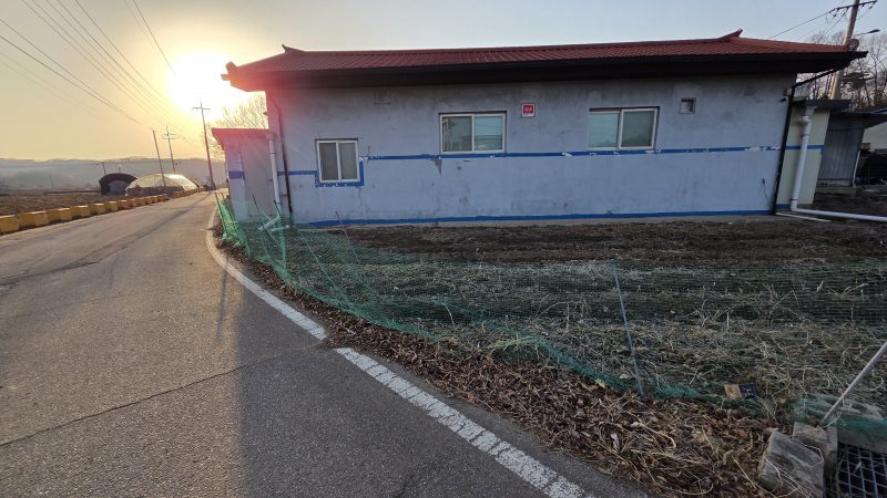 단독 사진 2
