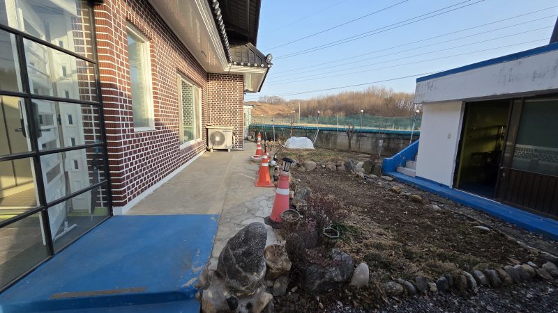 단독 사진 3