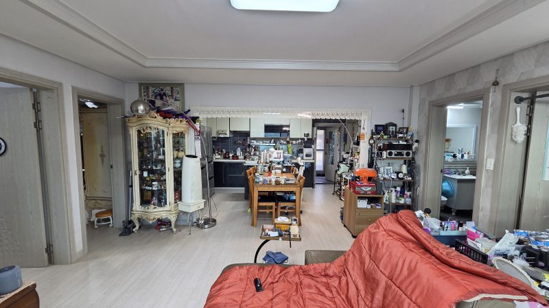 단독 사진 4