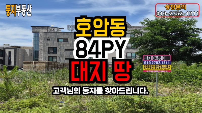 호암동 토지
