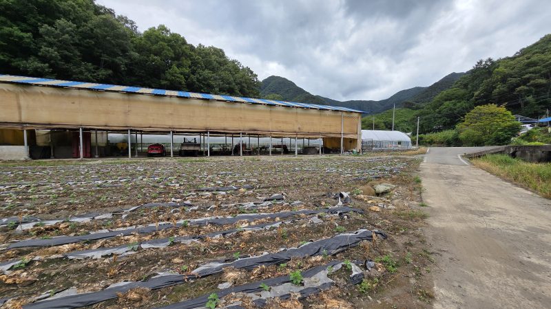 농가주택 사진 2