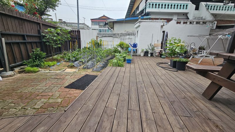 단독 사진 5
