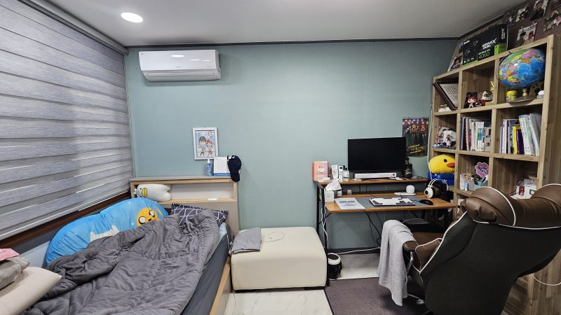 단독 사진 9
