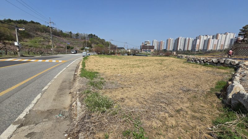 답 사진 1