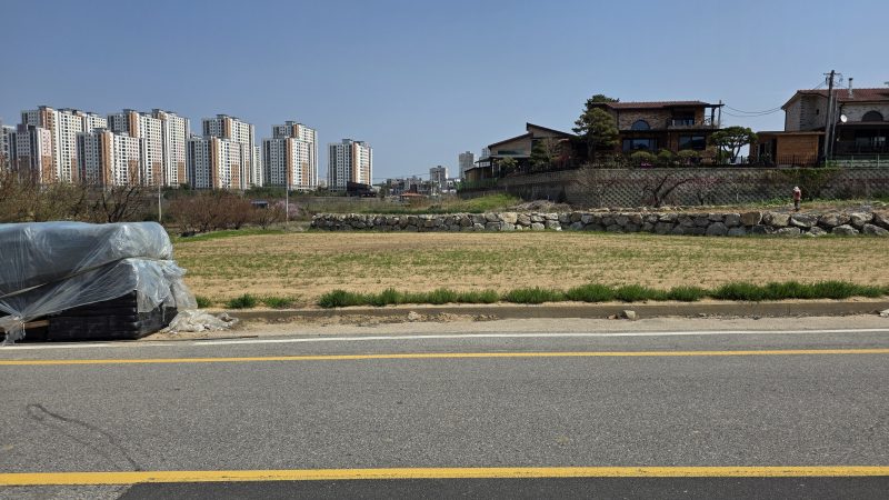 답 사진 2