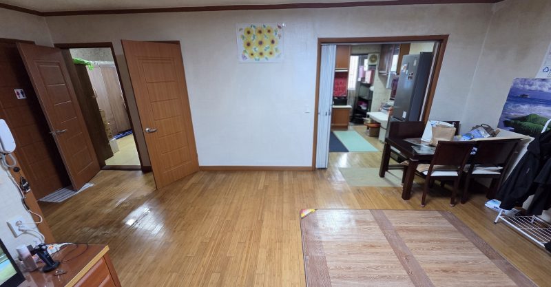단독 사진 3