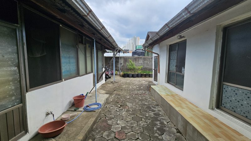 단독 사진 2