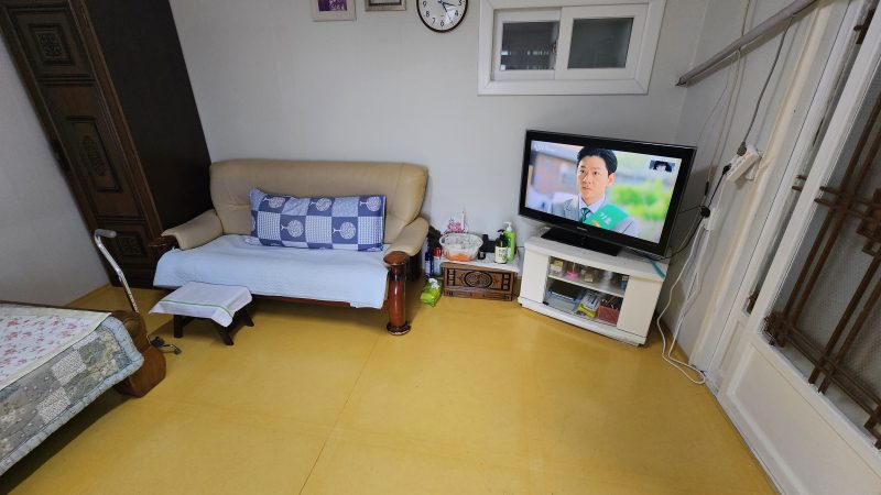 단독 사진 4