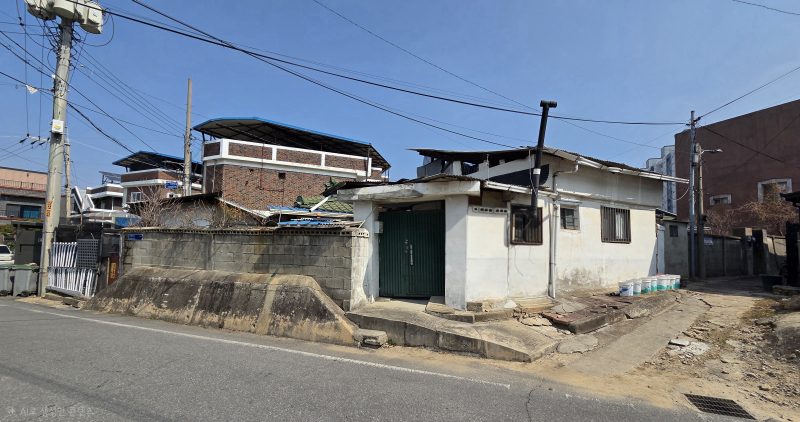 단독 사진 2