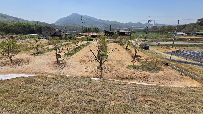 전 사진 2