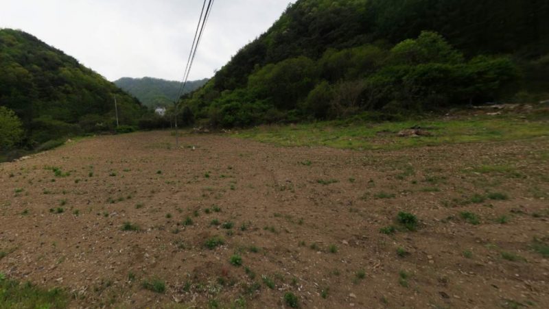 전 사진 2