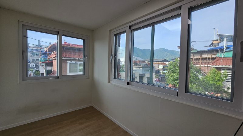 단독 사진 10