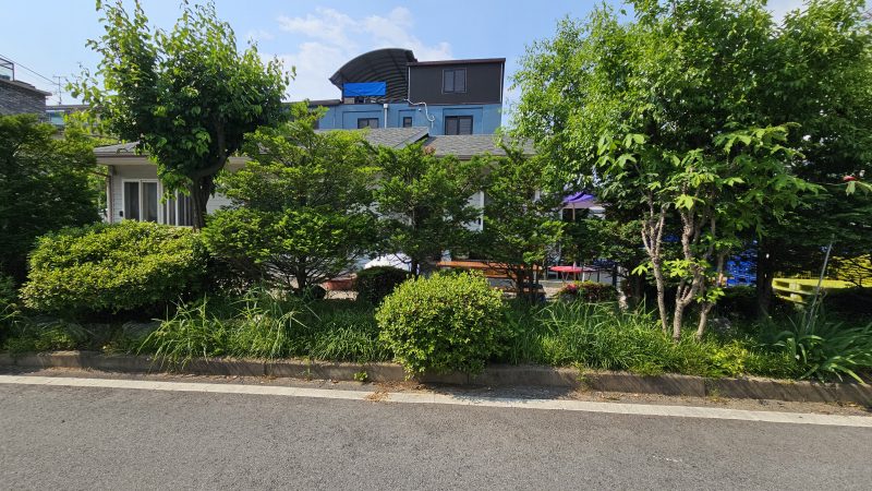 단독 사진 2