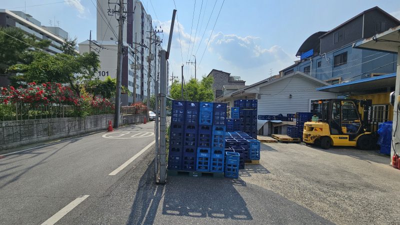 단독 사진 3